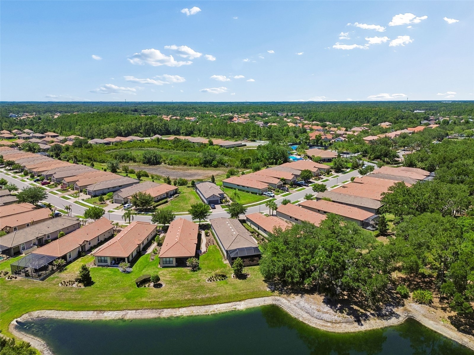 8447 Alberata Vista Drive Tampa FL 33647 TB8507147 image74
