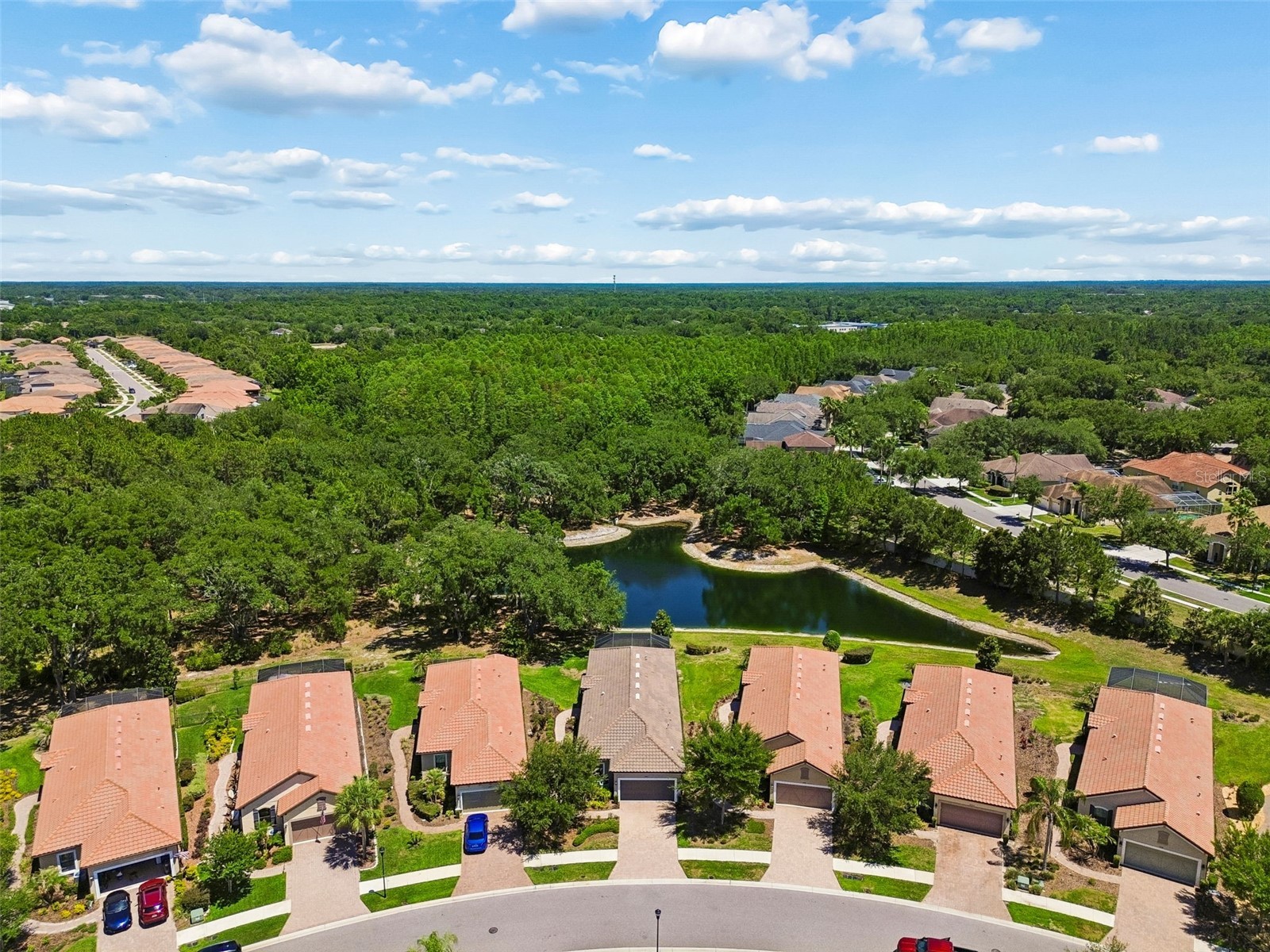 8447 Alberata Vista Drive Tampa FL 33647 TB8507147 image75