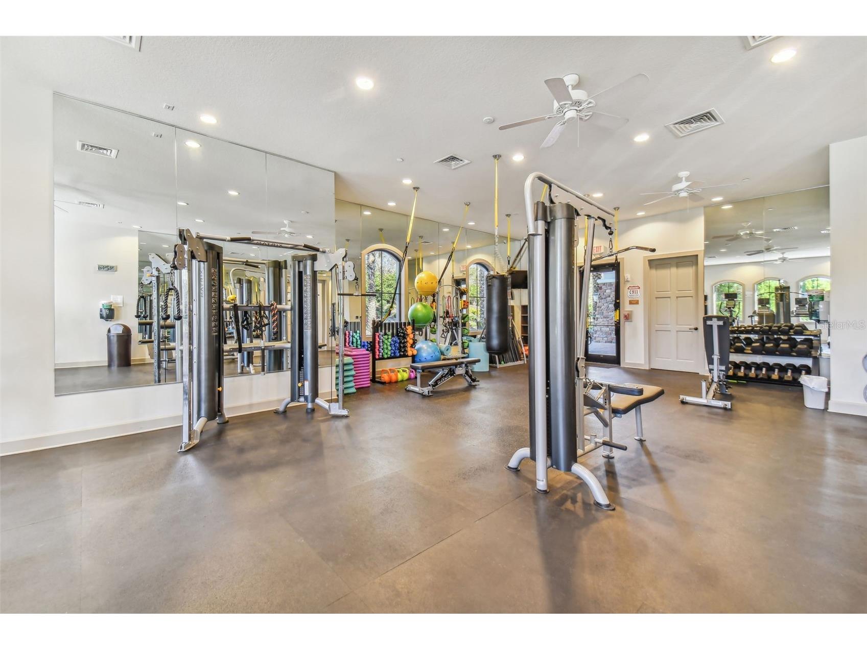 8447 Alberata Vista Drive Tampa FL 33647 TB8507147 image84