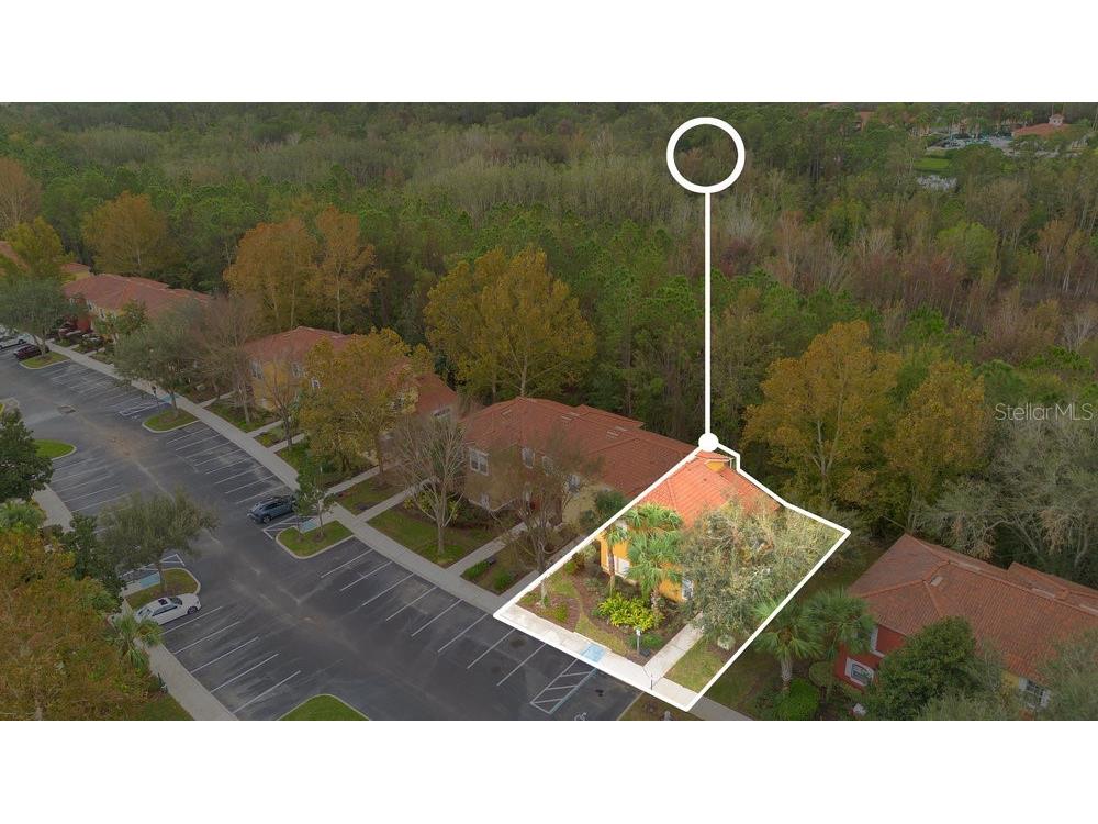 8447 Crystal Cove Loop Kissimmee FL 34747 O6255478 image33