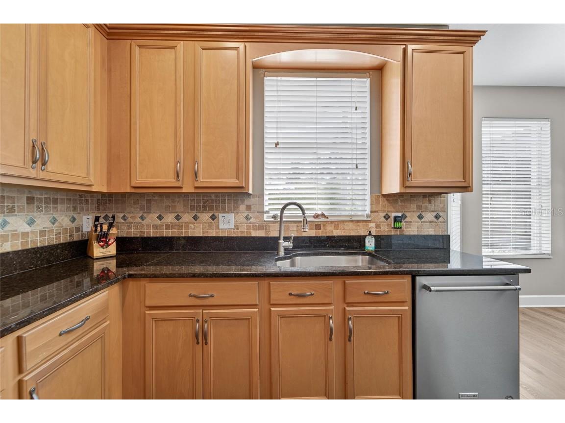 8448 Lagerfeld Drive Land O Lakes FL 34637 TB8437839 image22