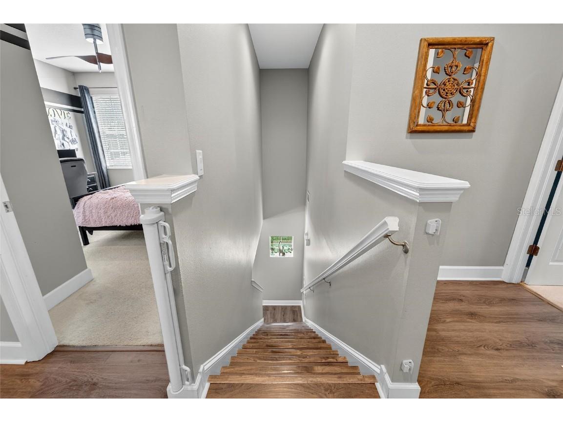 8448 Lagerfeld Drive Land O Lakes FL 34637 TB8437839 image34