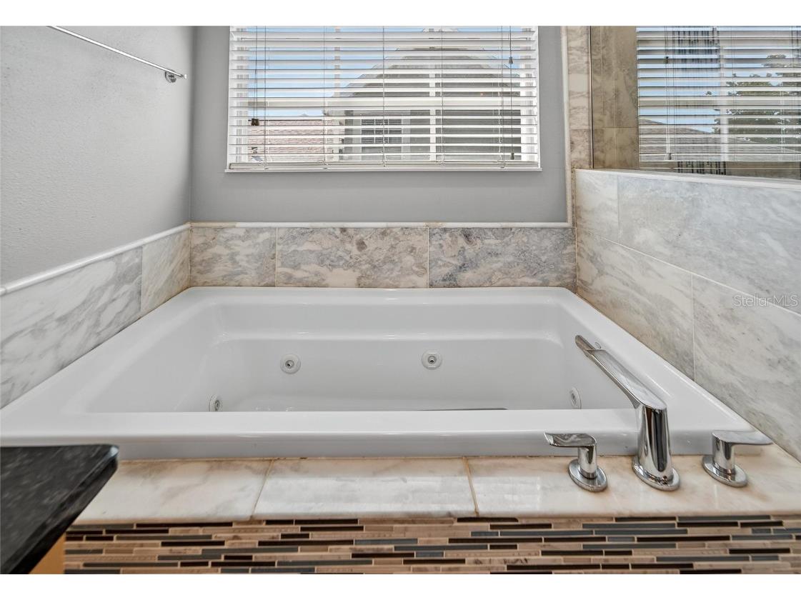 8448 Lagerfeld Drive Land O Lakes FL 34637 TB8437839 image41