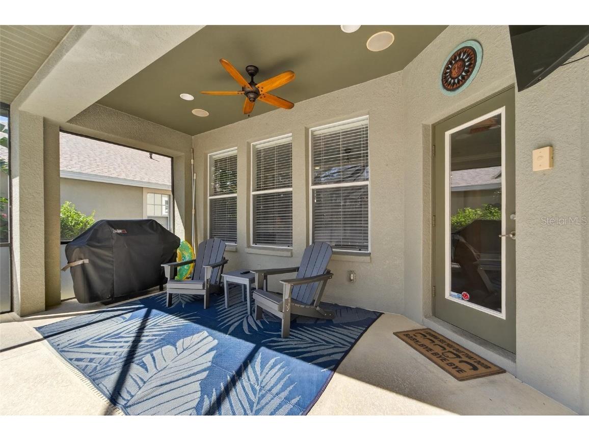 8448 Lagerfeld Drive Land O Lakes FL 34637 TB8437839 image56