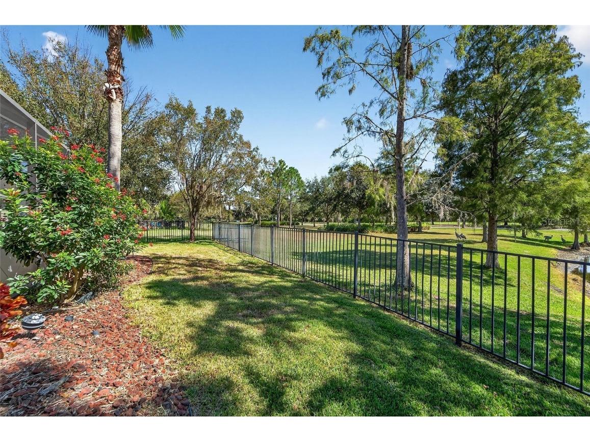 8448 Lagerfeld Drive Land O Lakes FL 34637 TB8437839 image68