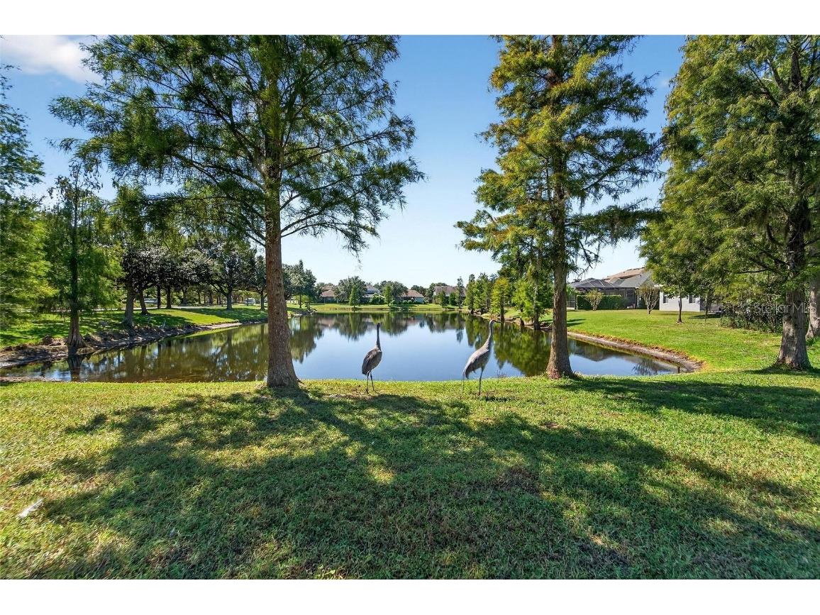 8448 Lagerfeld Drive Land O Lakes FL 34637 TB8437839 image71