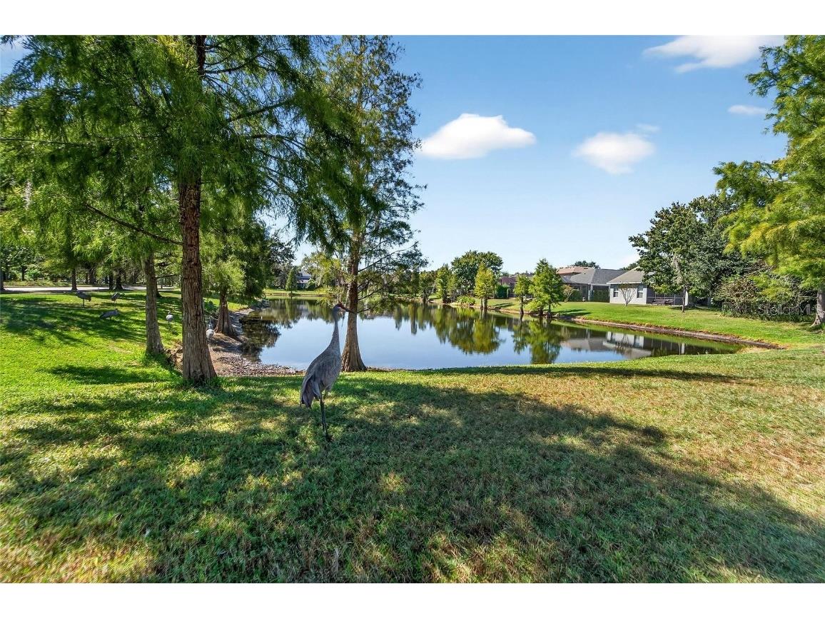 8448 Lagerfeld Drive Land O Lakes FL 34637 TB8437839 image72