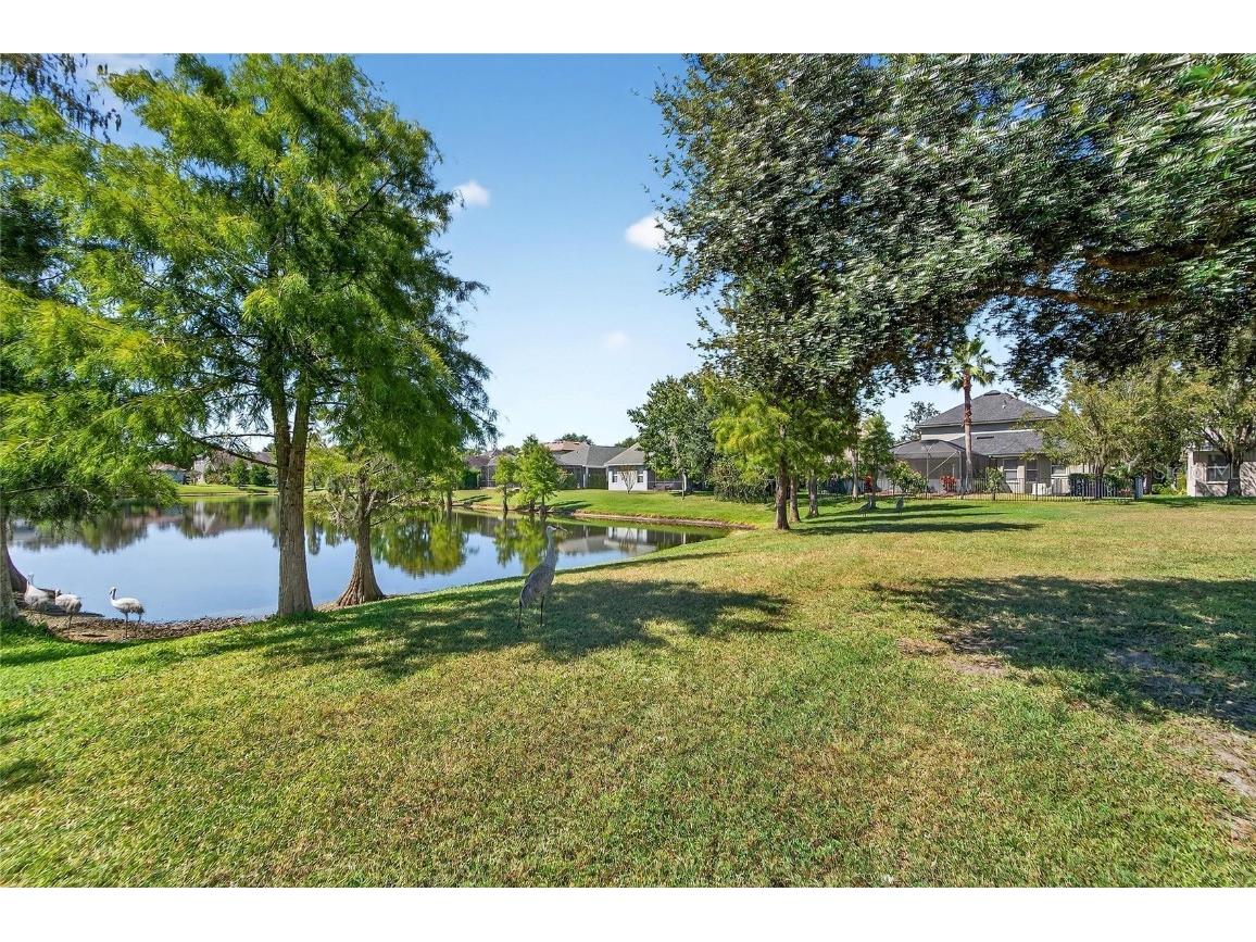 8448 Lagerfeld Drive Land O Lakes FL 34637 TB8437839 image73