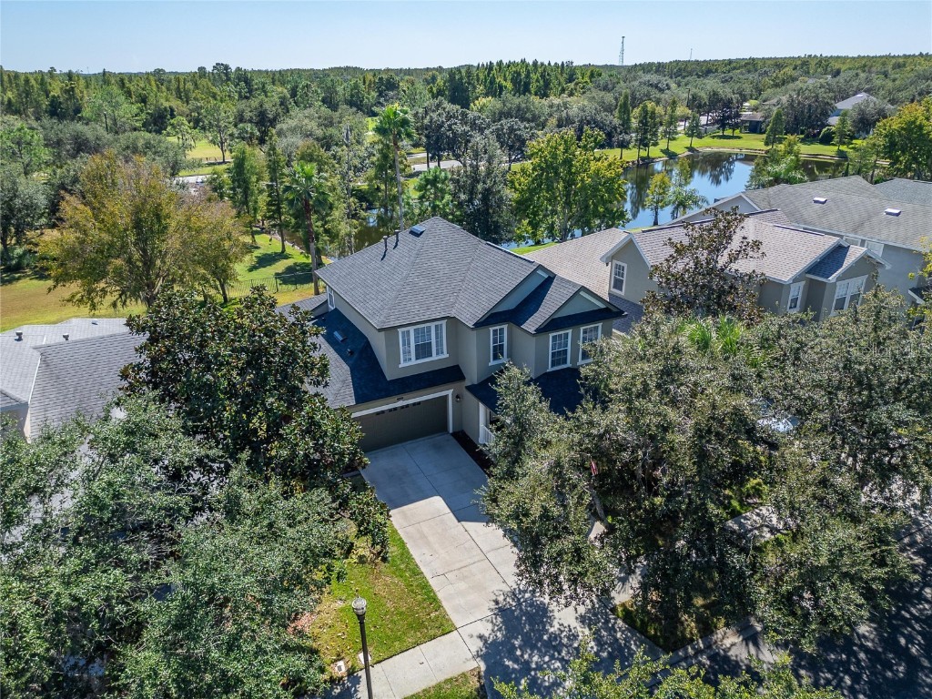 8448 Lagerfeld Drive Land O Lakes FL 34637 TB8437839 image76