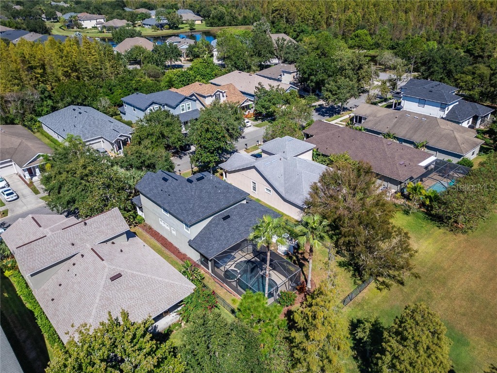 8448 Lagerfeld Drive Land O Lakes FL 34637 TB8437839 image80