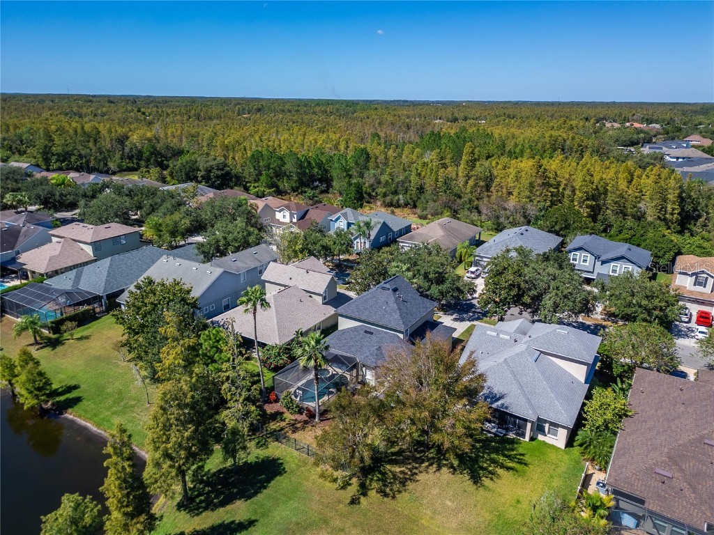 8448 Lagerfeld Drive Land O Lakes FL 34637 TB8437839 image81