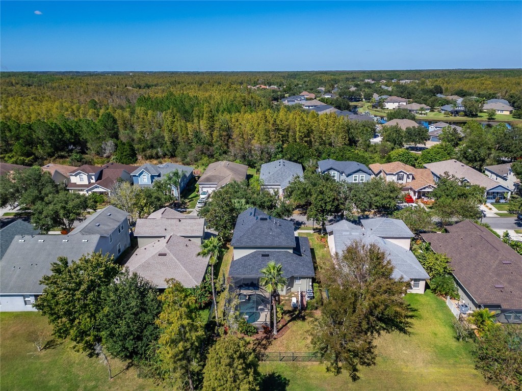 8448 Lagerfeld Drive Land O Lakes FL 34637 TB8437839 image82