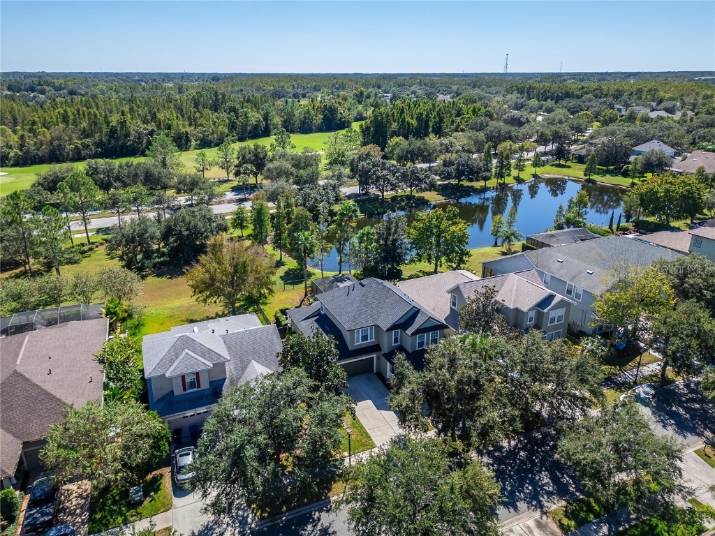 8448 Lagerfeld Drive Land O Lakes FL 34637 TB8437839 image83
