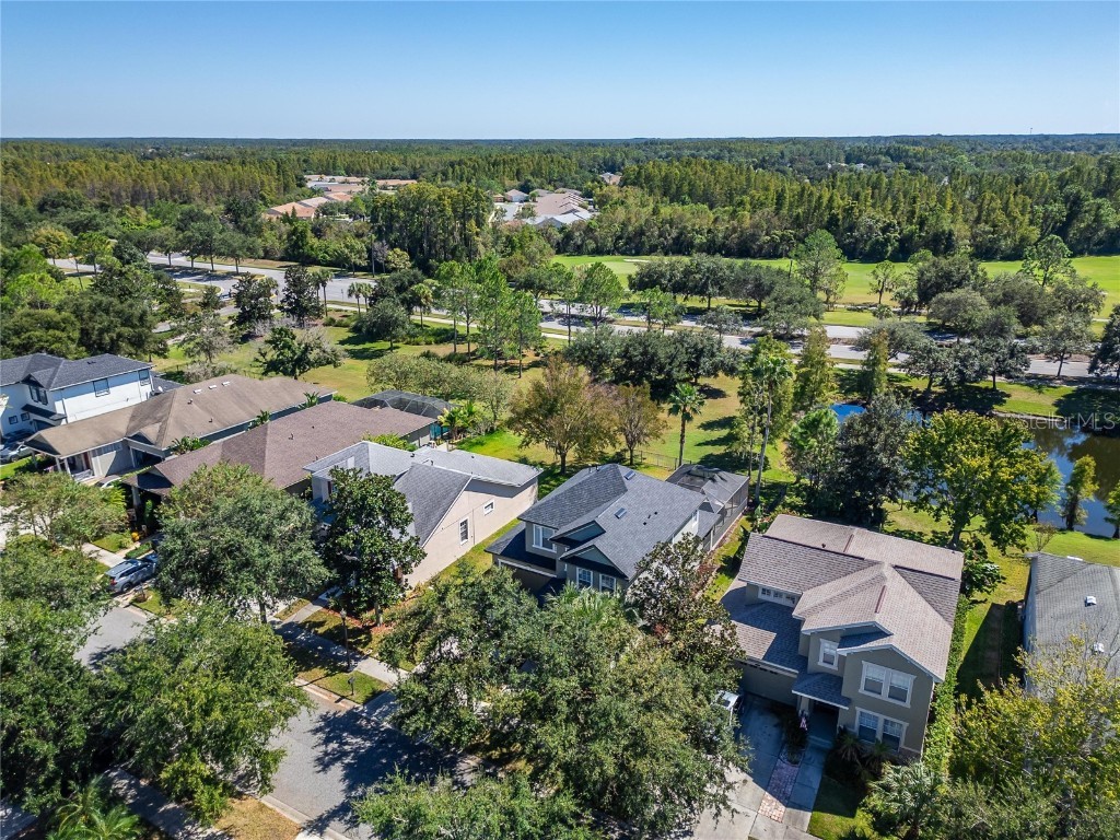 8448 Lagerfeld Drive Land O Lakes FL 34637 TB8437839 image84