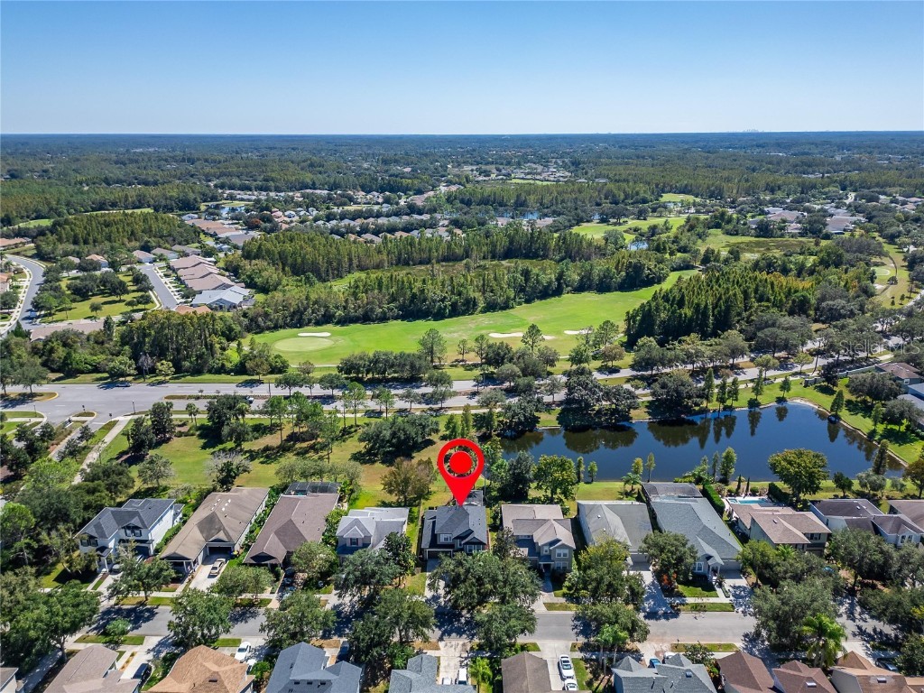 8448 Lagerfeld Drive Land O Lakes FL 34637 TB8437839 image87
