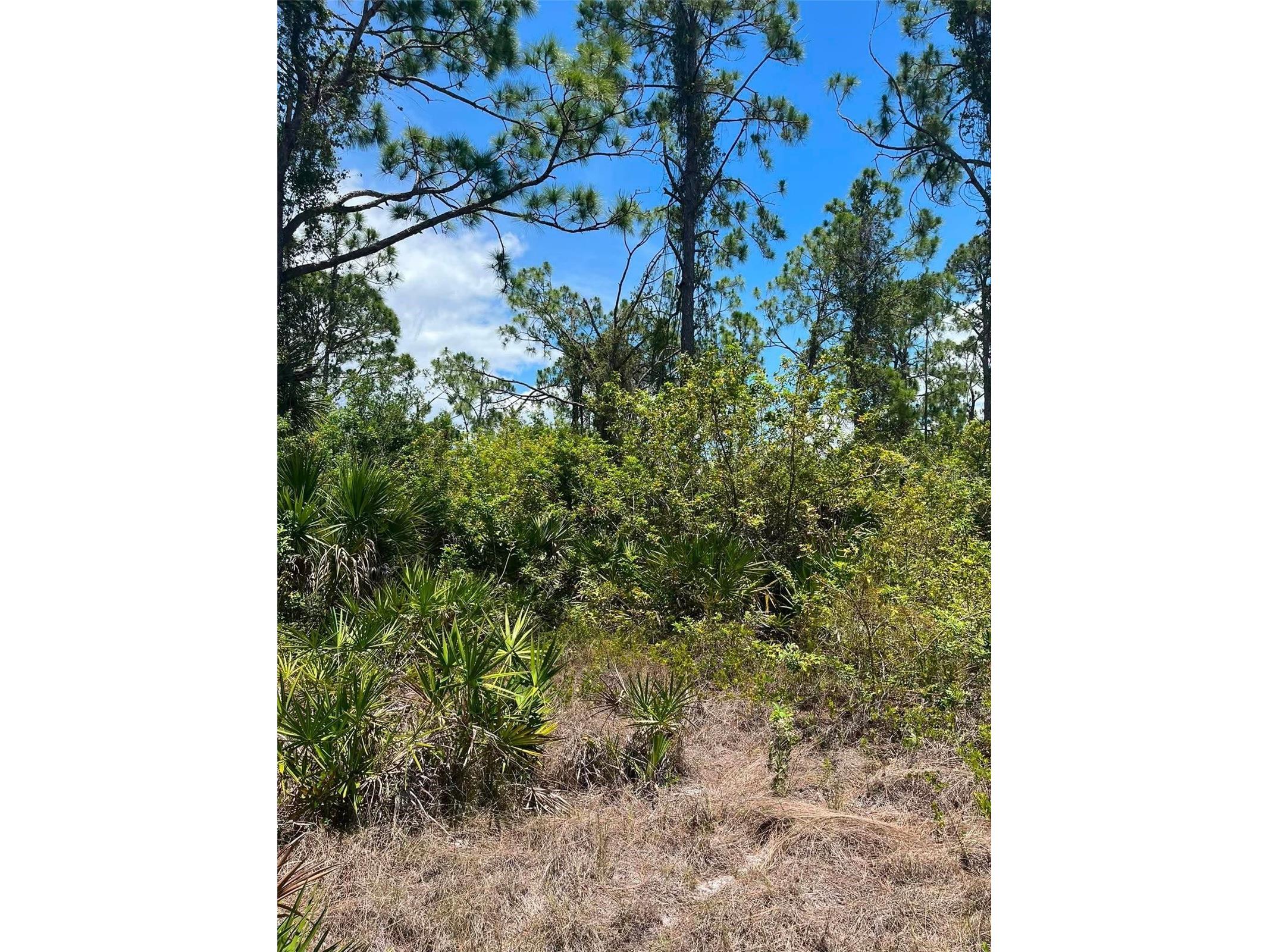 8448 Matecumbe Road Port Charlotte FL 33981 O6416338 image4