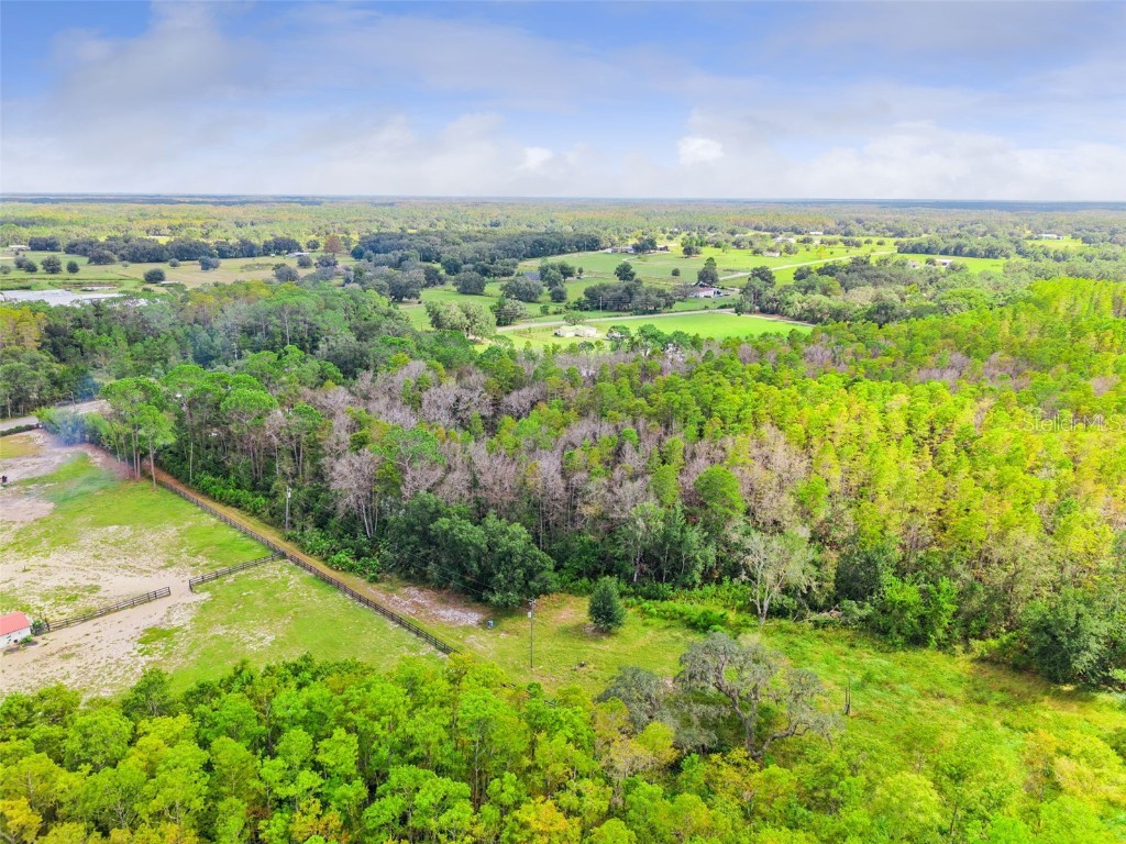 8449 Bay Lake Road Groveland FL 34736 G5103463 image10