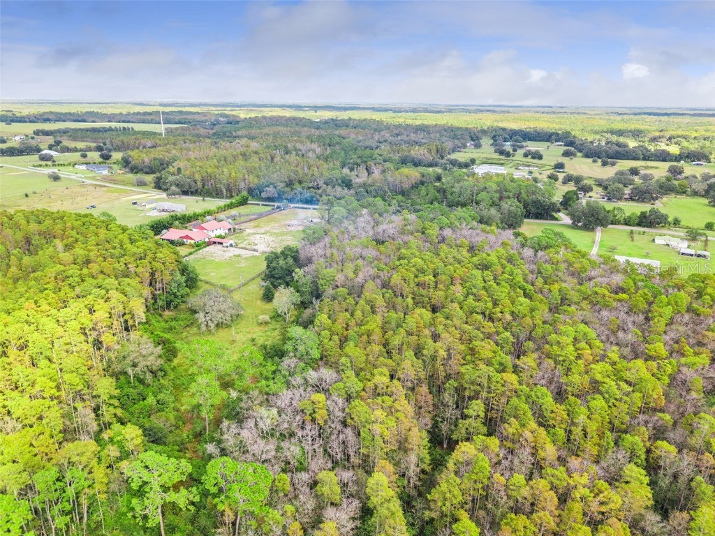 8449 Bay Lake Road Groveland FL 34736 G5103463 image11