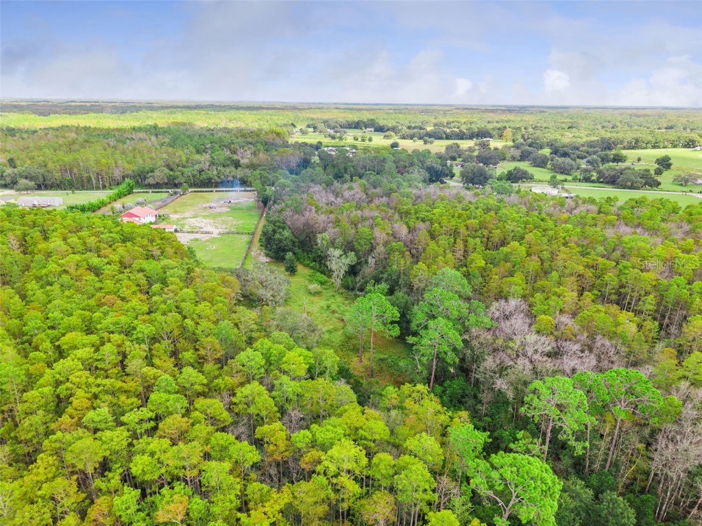 8449 Bay Lake Road Groveland FL 34736 G5103463 image15