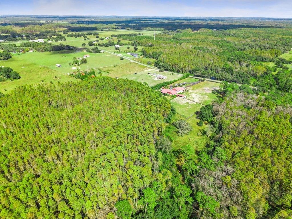 8449 Bay Lake Road Groveland FL 34736 G5103463 image3