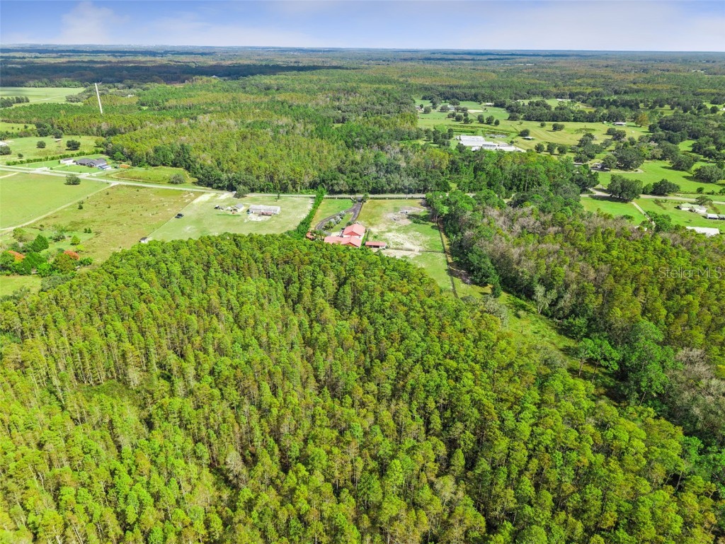 8449 Bay Lake Road Groveland FL 34736 G5103463 image4