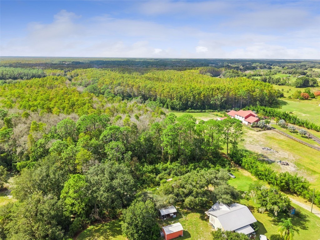 8449 Bay Lake Road Groveland FL 34736 G5103463 image7