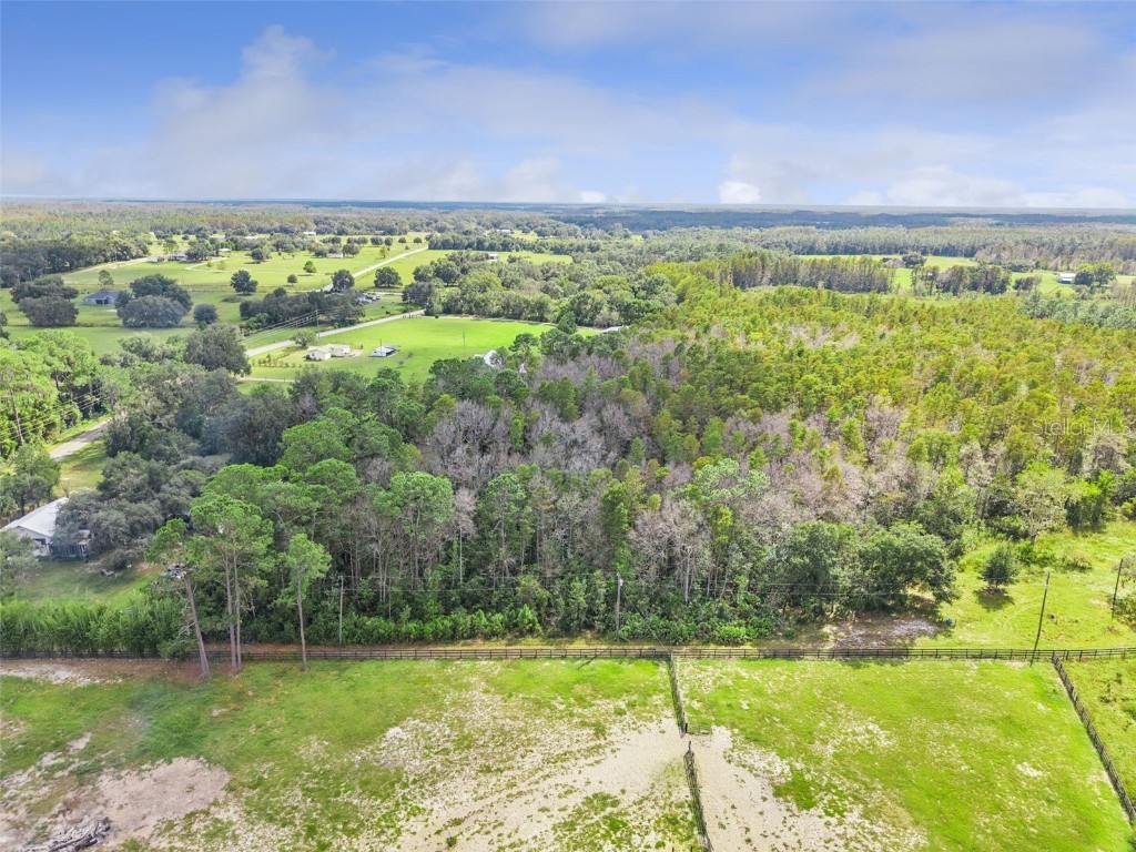 8449 Bay Lake Road Groveland FL 34736 G5103463 image9