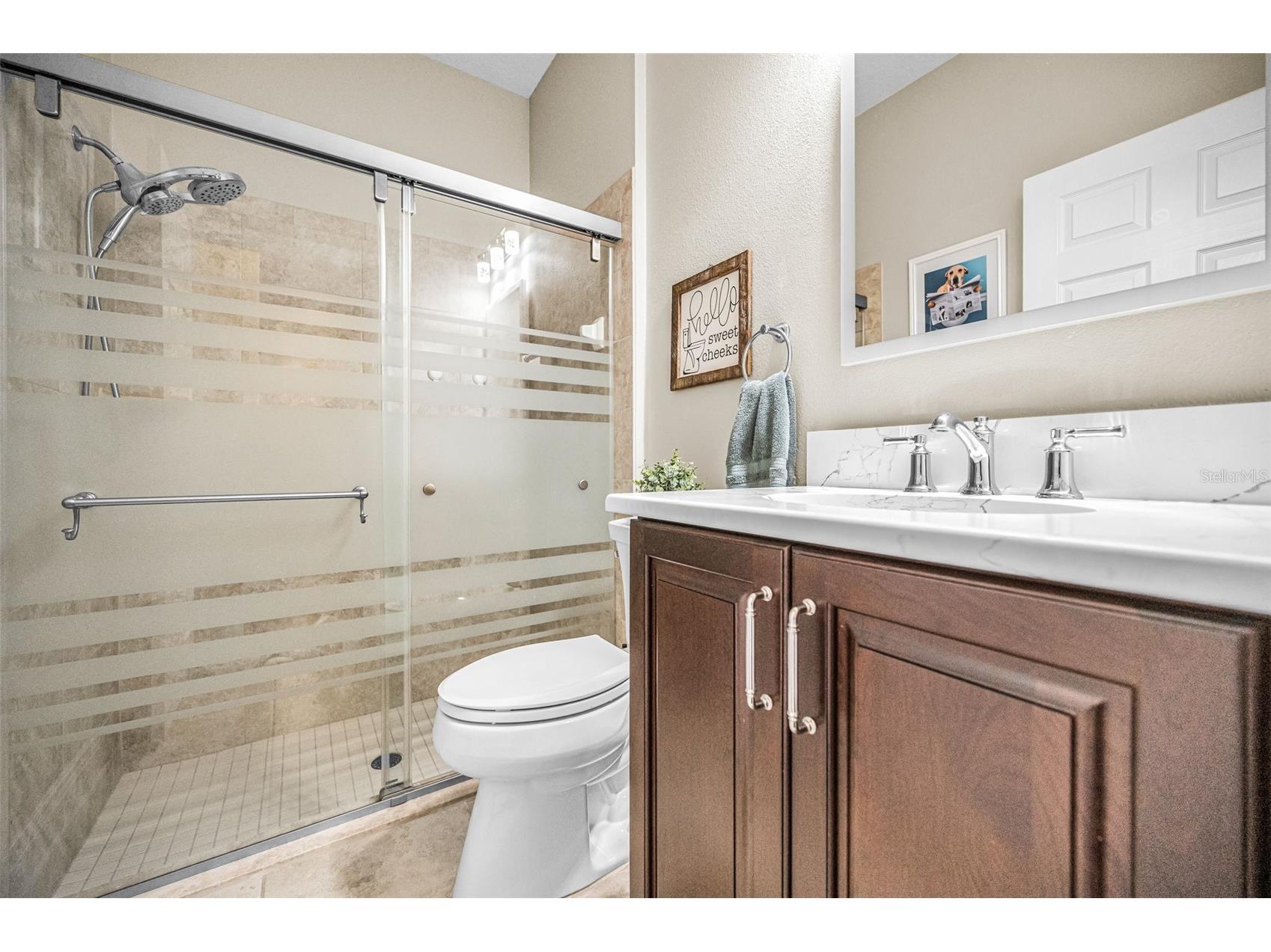 8449 Bluevine Sky Drive Land O Lakes FL 34637 TB8501048 image46