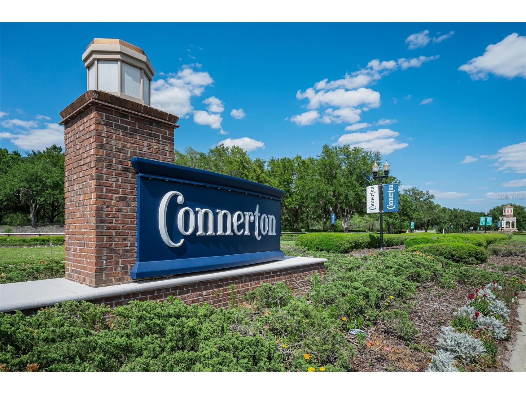 8449 Bluevine Sky Drive Land O Lakes FL 34637 TB8501048 image75