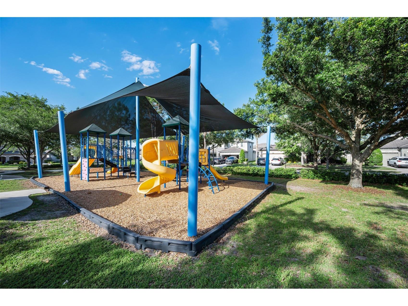 8449 Bluevine Sky Drive Land O Lakes FL 34637 TB8501048 image81