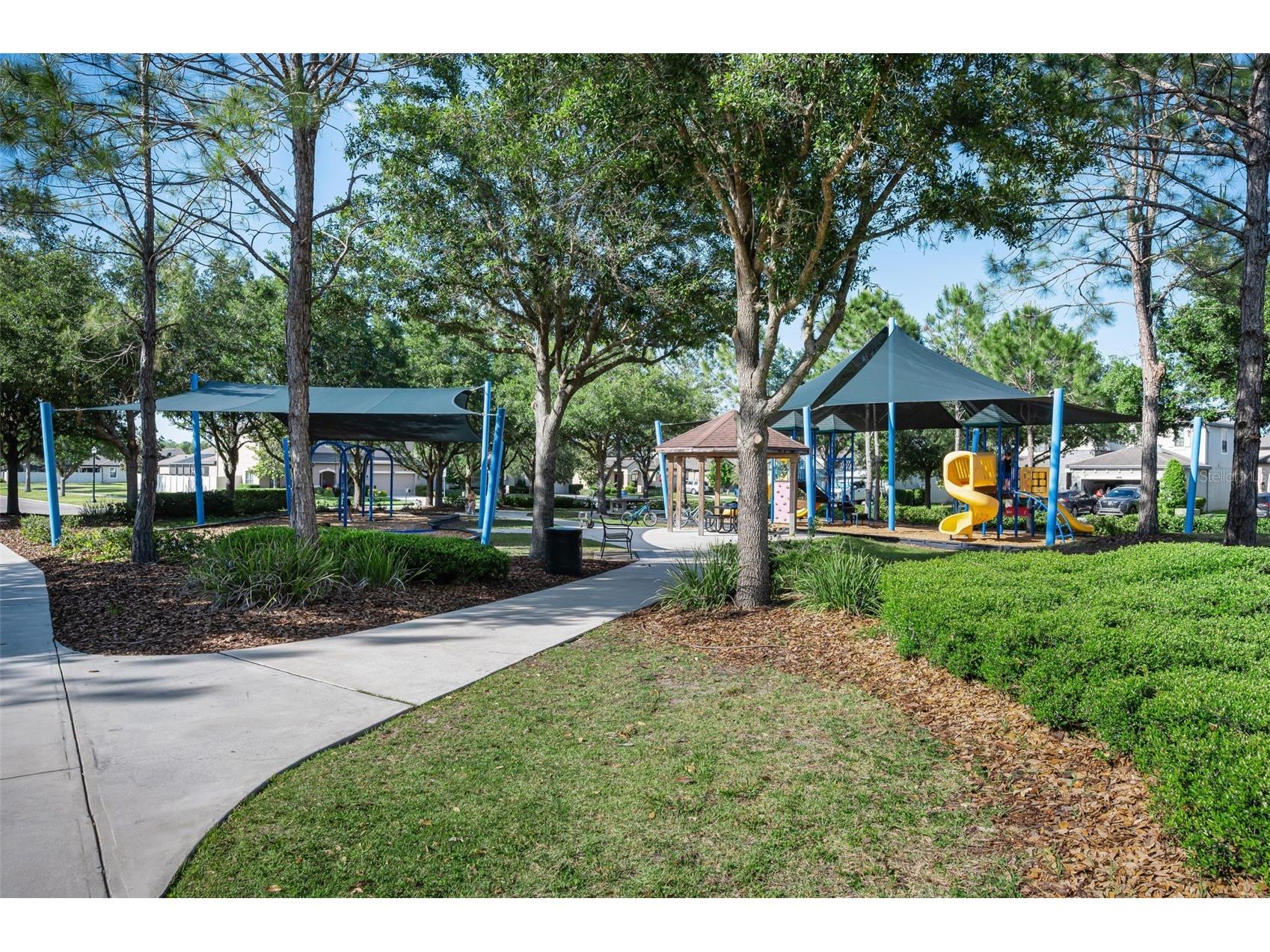 8449 Bluevine Sky Drive Land O Lakes FL 34637 TB8501048 image84