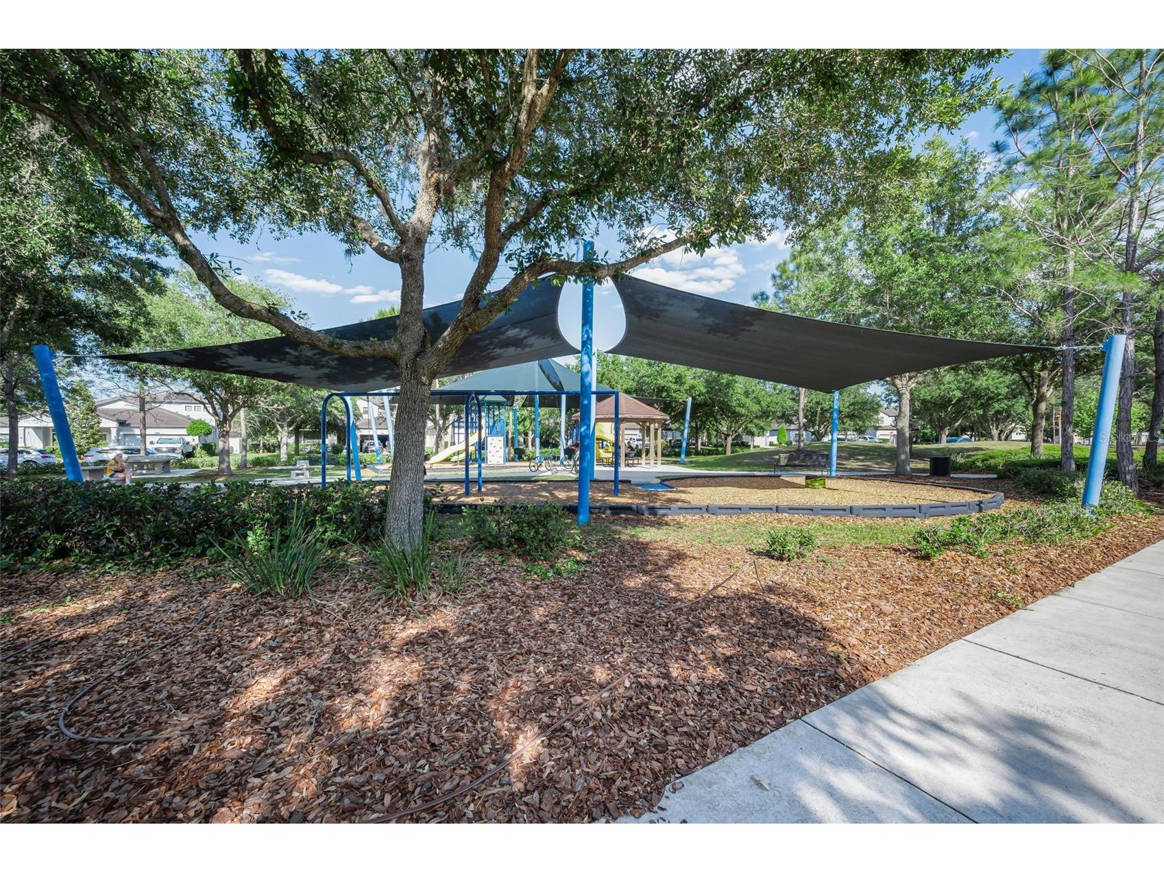 8449 Bluevine Sky Drive Land O Lakes FL 34637 TB8501048 image85