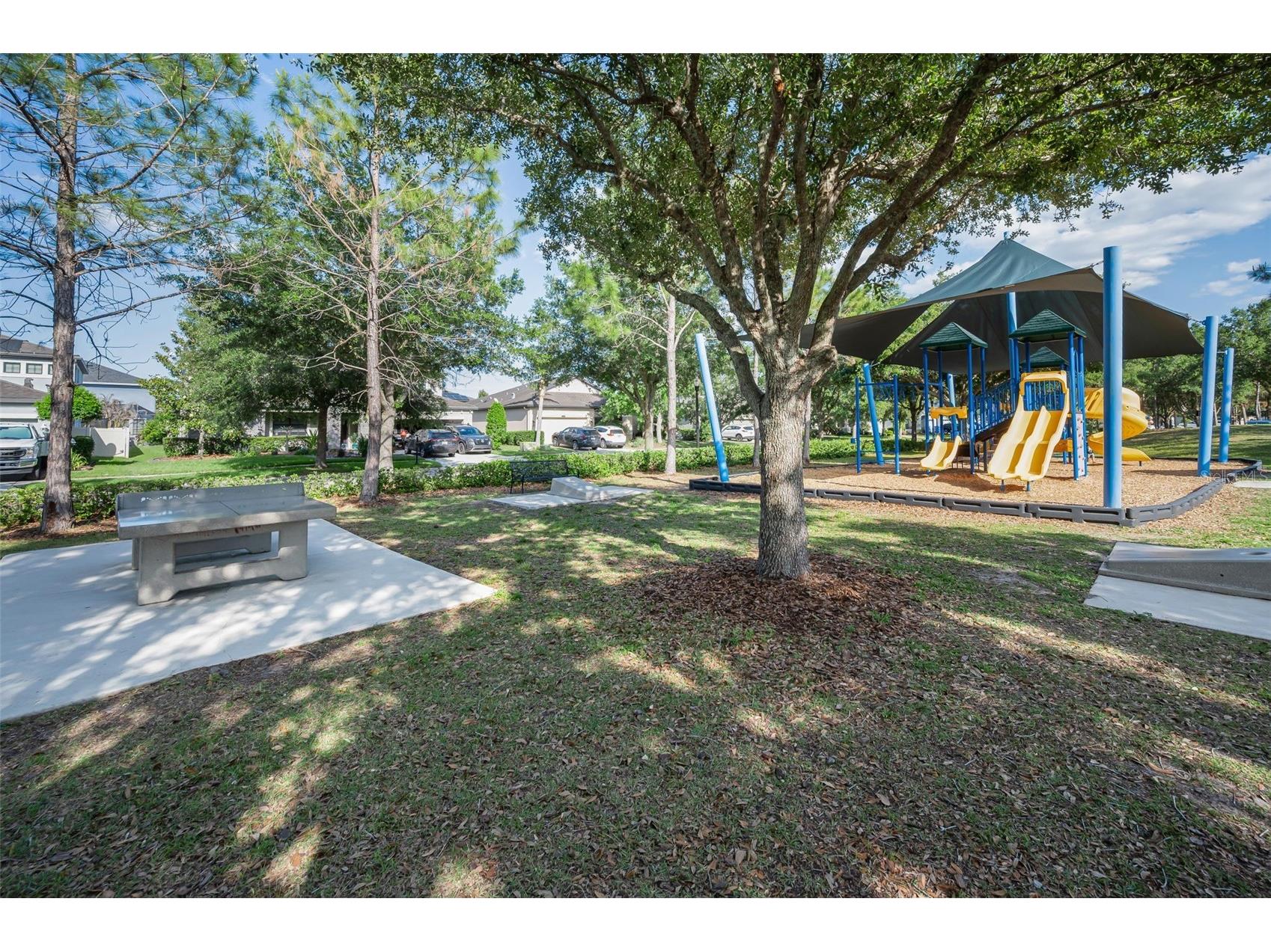 8449 Bluevine Sky Drive Land O Lakes FL 34637 TB8501048 image86