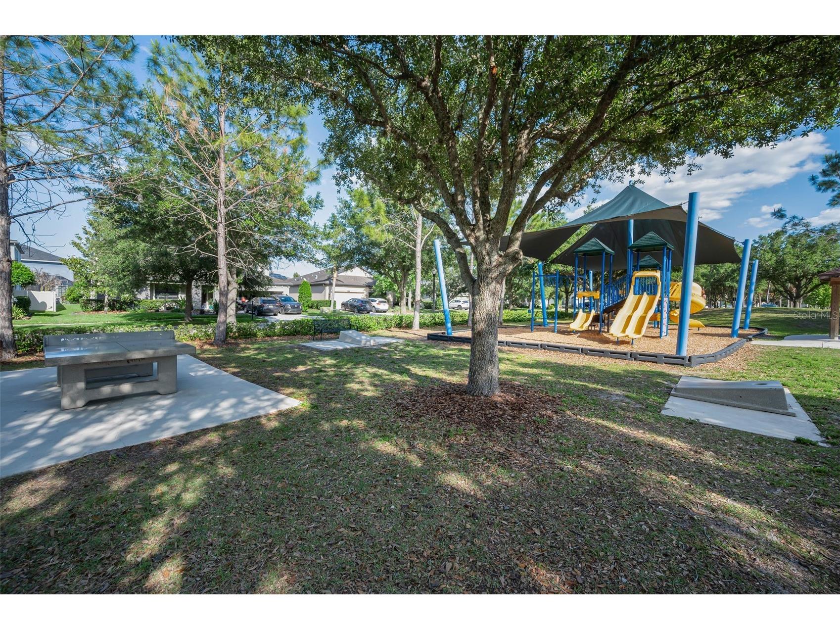 8449 Bluevine Sky Drive Land O Lakes FL 34637 TB8501048 image87