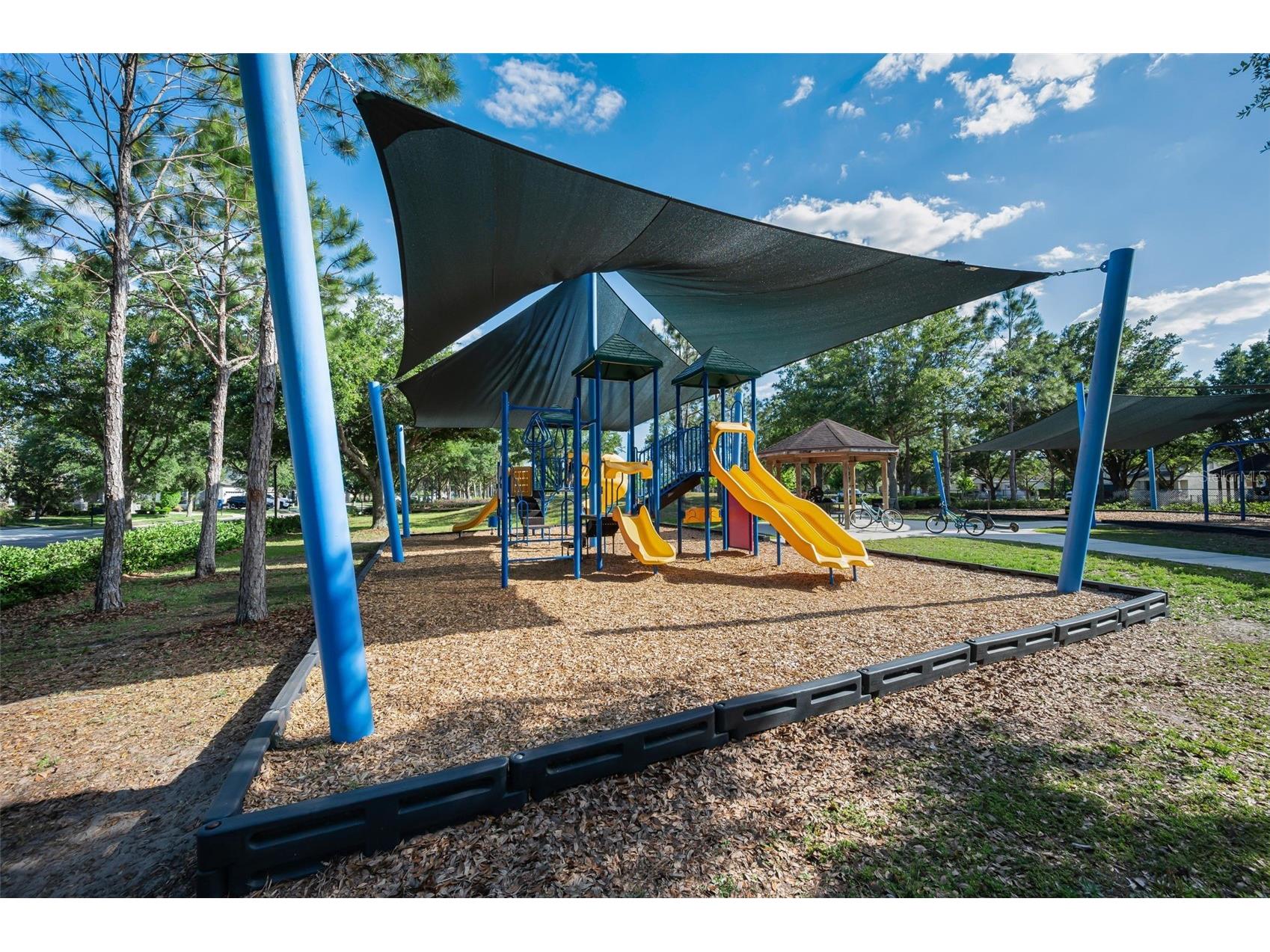 8449 Bluevine Sky Drive Land O Lakes FL 34637 TB8501048 image90