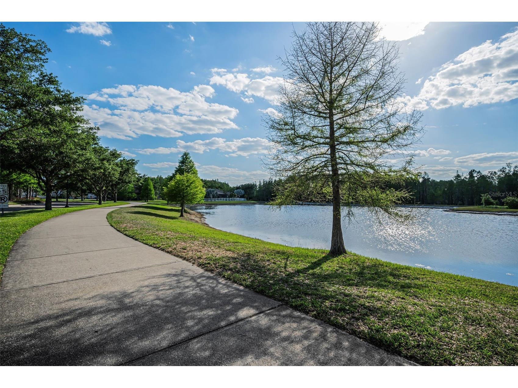 8449 Bluevine Sky Drive Land O Lakes FL 34637 TB8501048 image92
