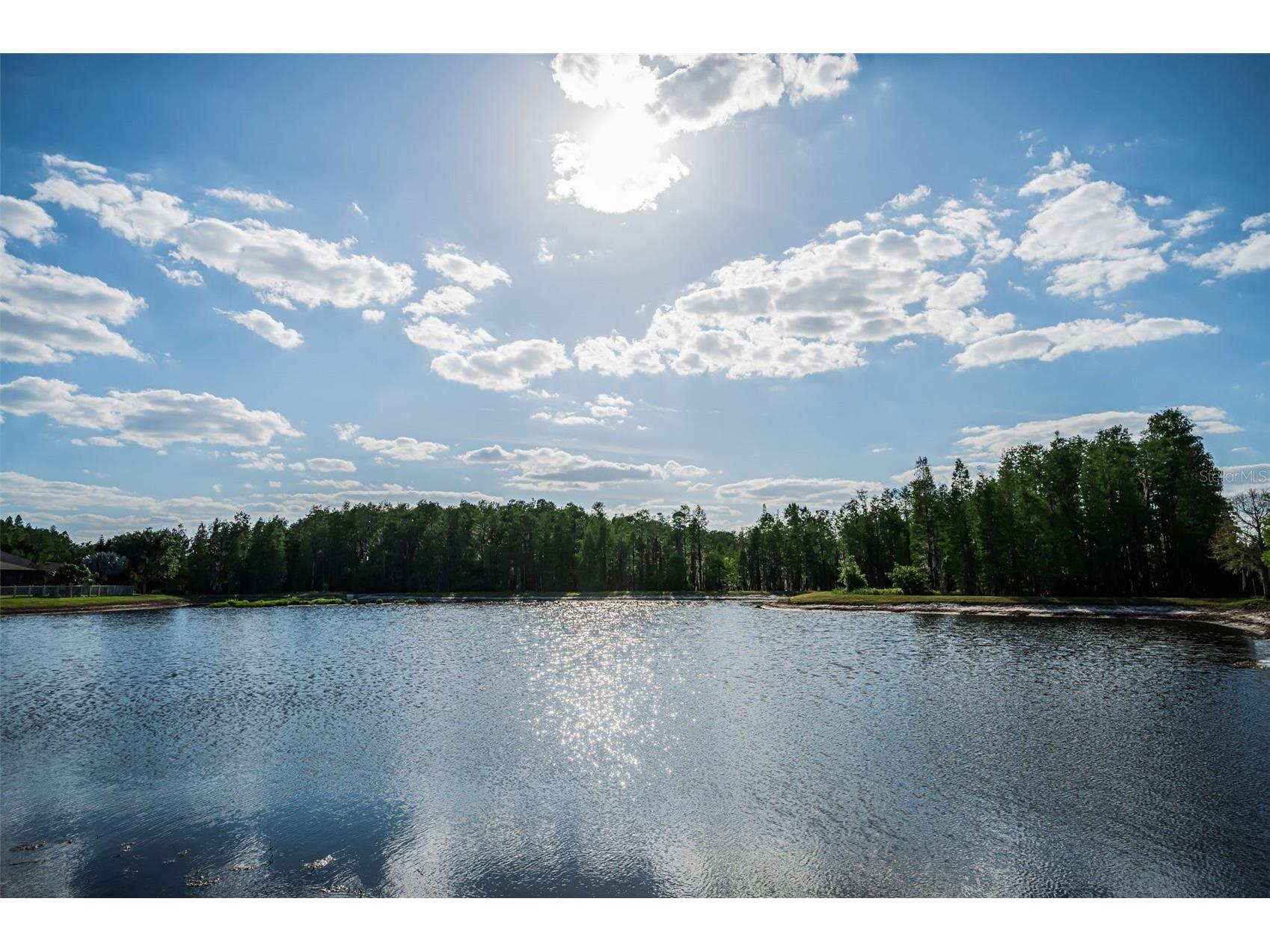 8449 Bluevine Sky Drive Land O Lakes FL 34637 TB8501048 image93