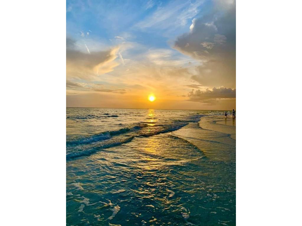 845 Benjamin Franklin Drive #101 Sarasota FL 34236 A4649340 image63