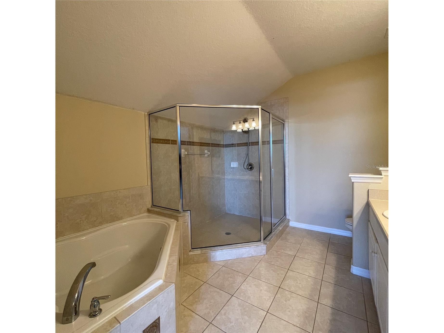 845 Bridgeford Crossing Boulevard Davenport FL 33837 O6414098 image38