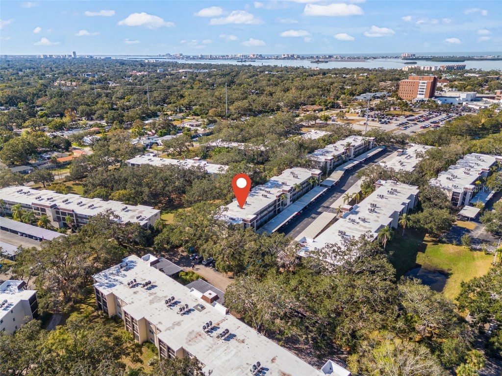 845 Maple Court #101 Dunedin FL 34698 TB8327665 image1