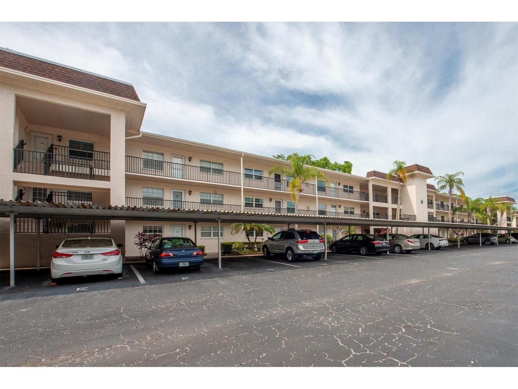 845 Maple Court #103 Dunedin FL 34698 TB8500640 image1