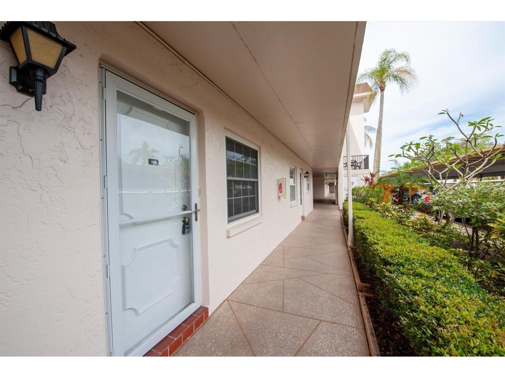 845 Maple Court #103 Dunedin FL 34698 TB8500640 image2