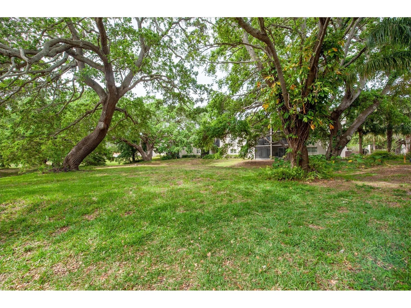 845 Maple Court #103 Dunedin FL 34698 TB8500640 image23
