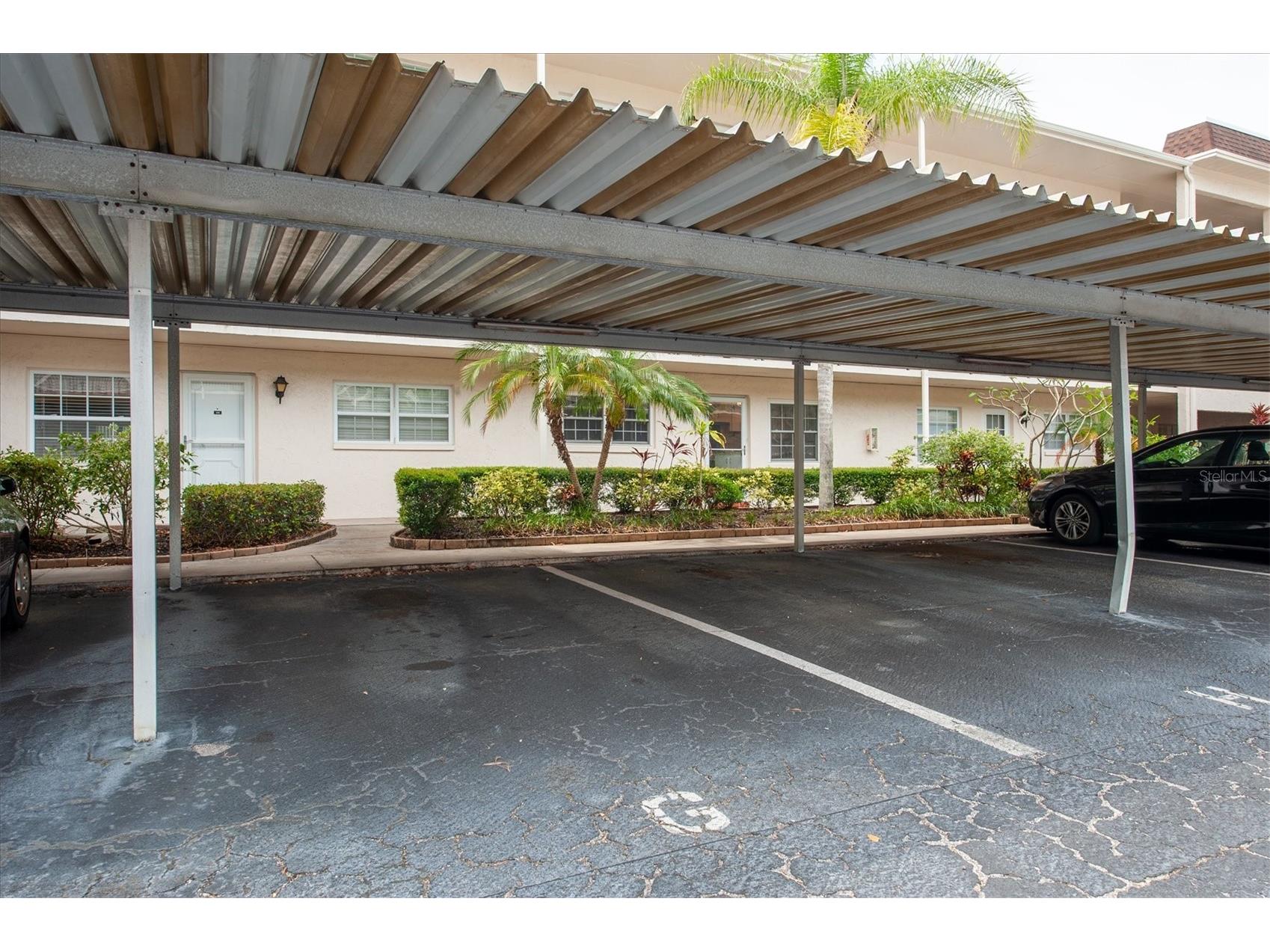 845 Maple Court #103 Dunedin FL 34698 TB8500640 image24
