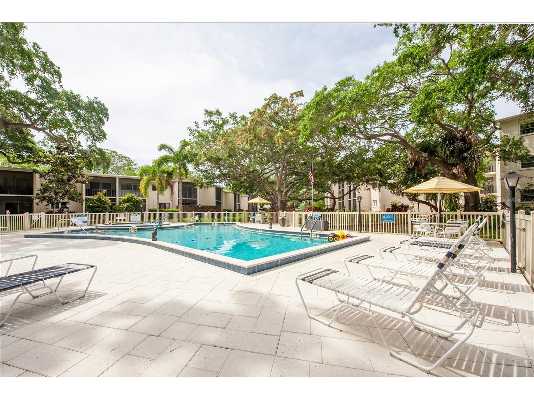 845 Maple Court #103 Dunedin FL 34698 TB8500640 image25