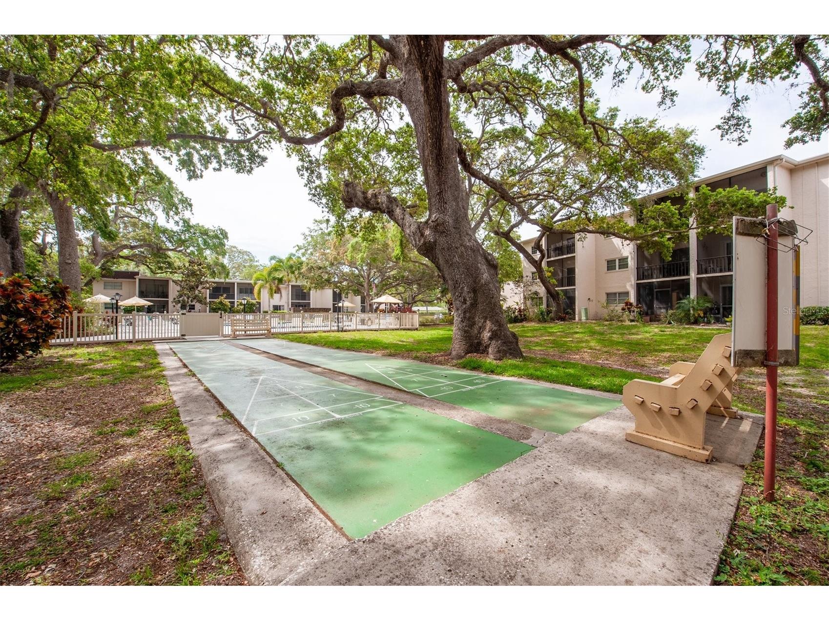 845 Maple Court #103 Dunedin FL 34698 TB8500640 image26