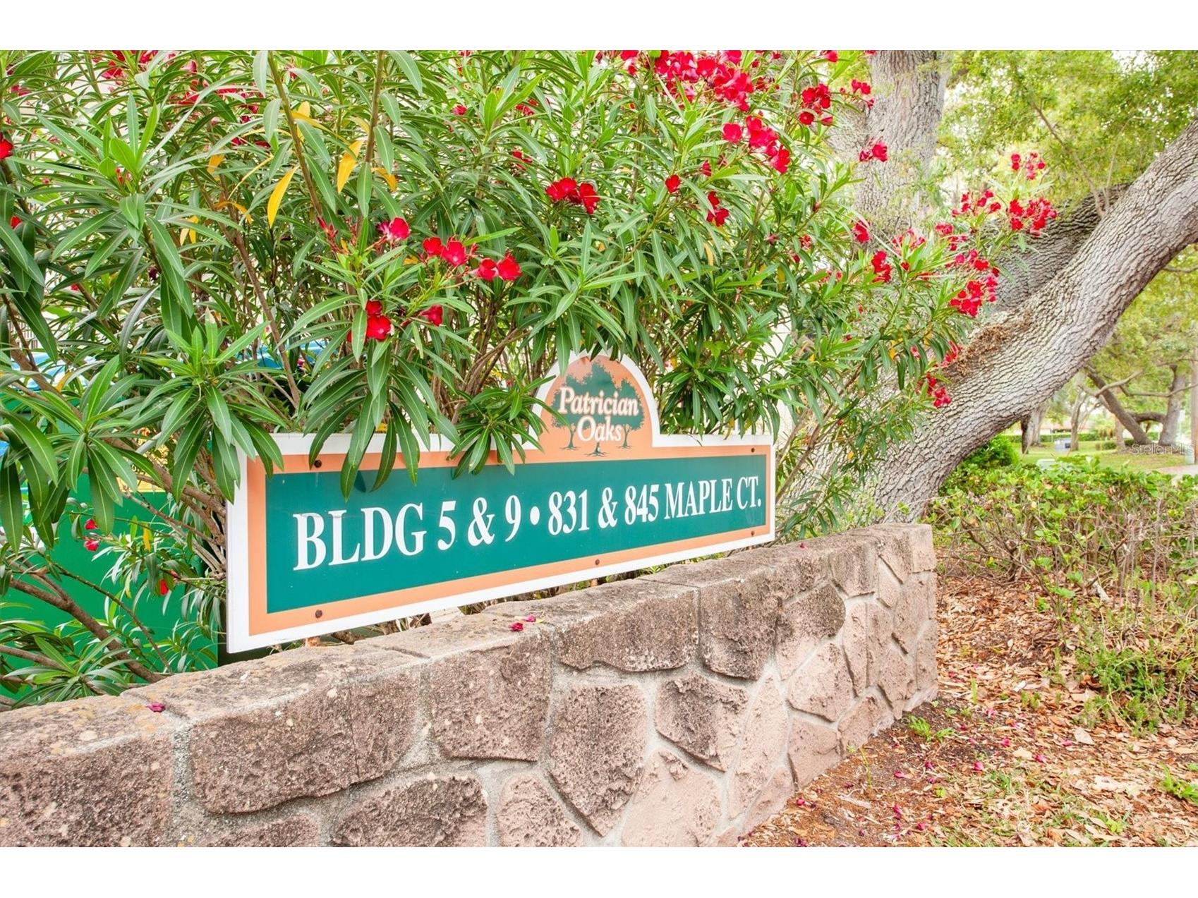 845 Maple Court #103 Dunedin FL 34698 TB8500640 image3