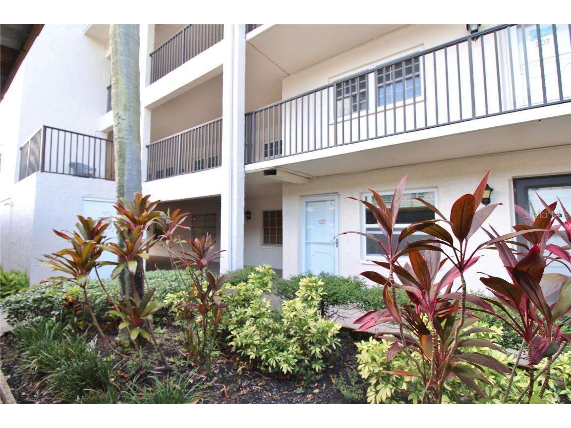 845 Maple Court #206 Dunedin FL 34698 U8206996 image1