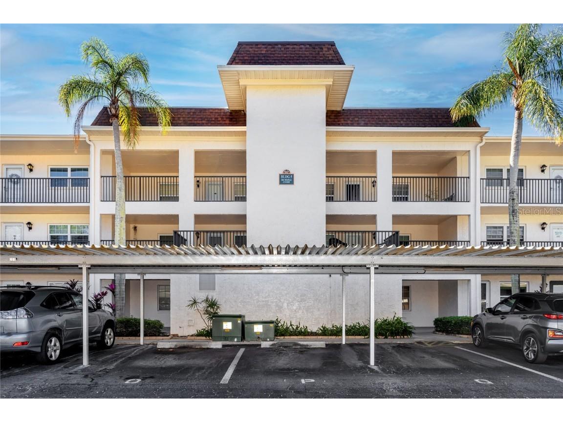 845 Maple Court #305 Dunedin FL 34698 U8194908 image1