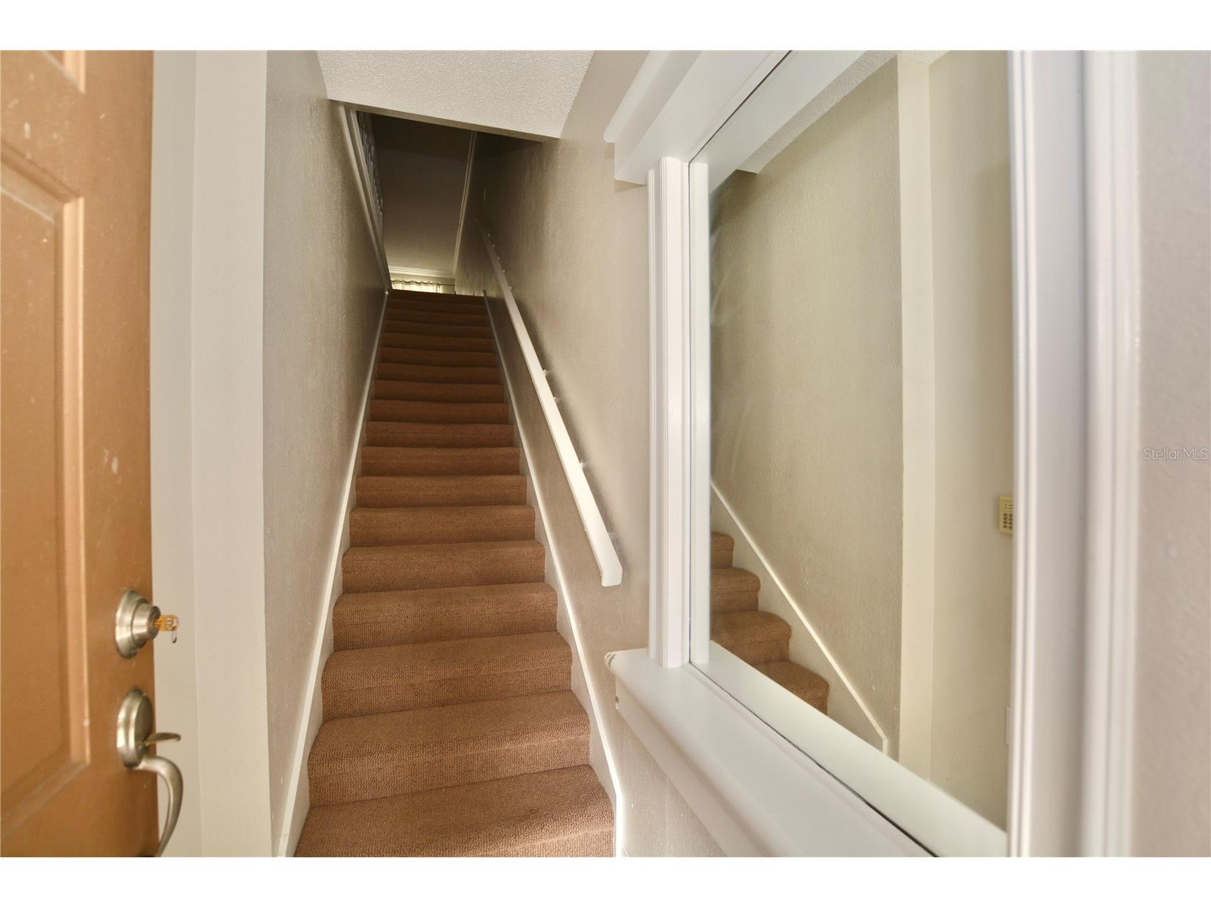 845 Normandy Trace Road Tampa FL 33602 TB8526652 image2